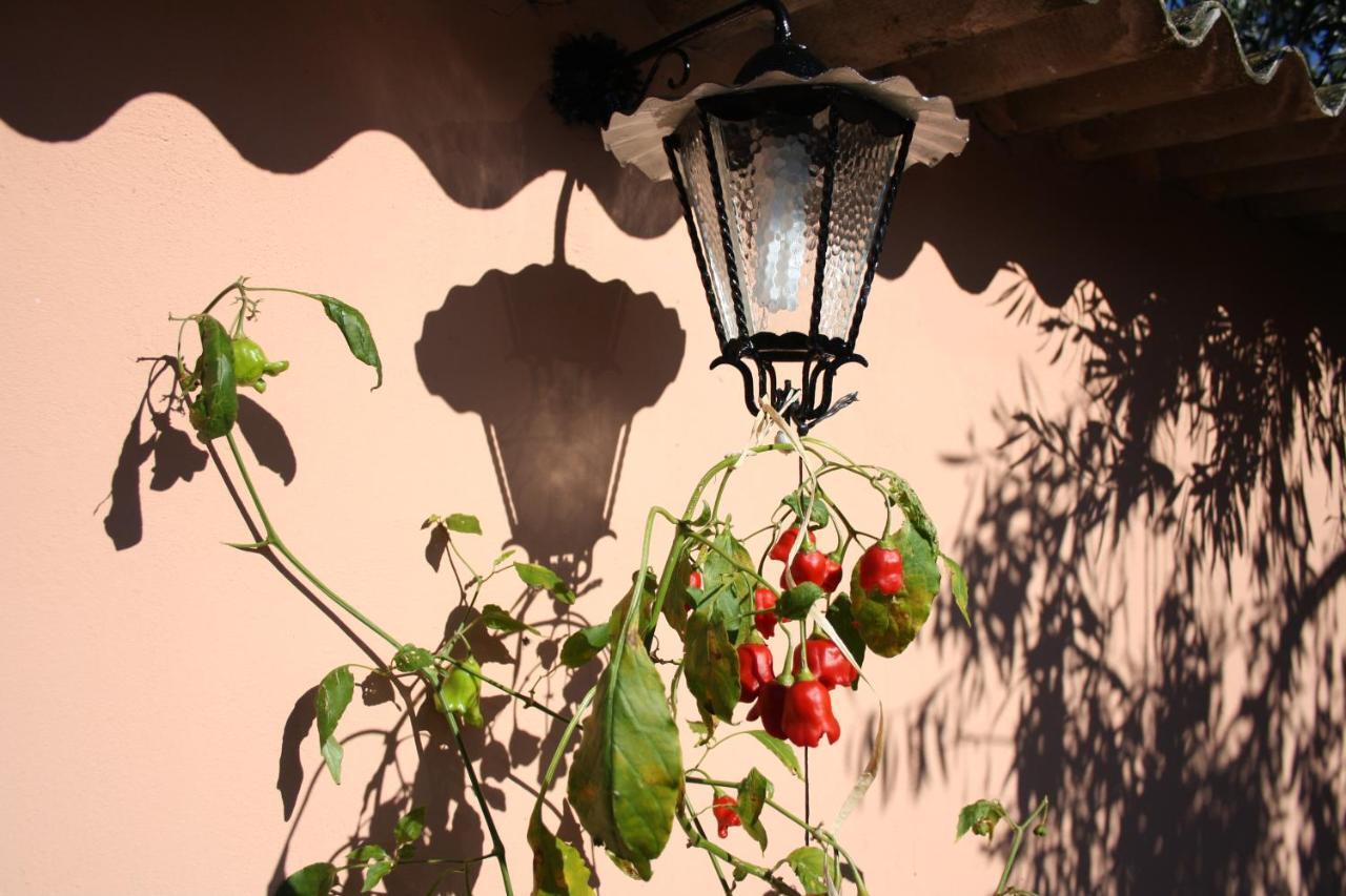 Вілла La Casa Di Sara Пула Екстер'єр фото